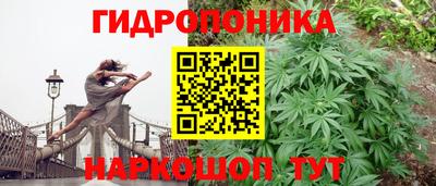 твердый Партизанск