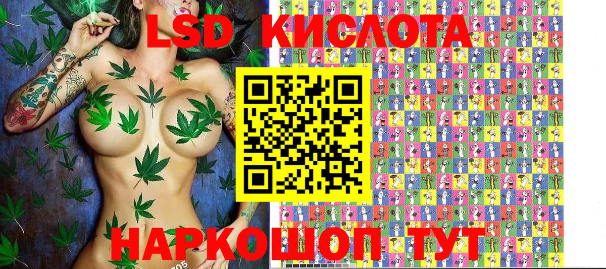  COCAIN Сочи